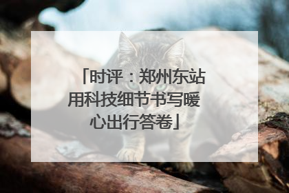 时评：郑州东站用科技细节书写暖心出行答卷
