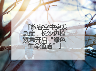 旅客空中突发急症，长沙边检紧急开启“绿色生命通道”