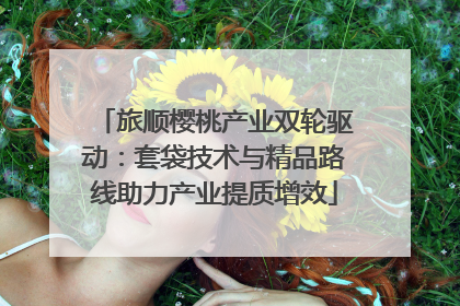 旅顺樱桃产业双轮驱动：套袋技术与精品路线助力产业提质增效