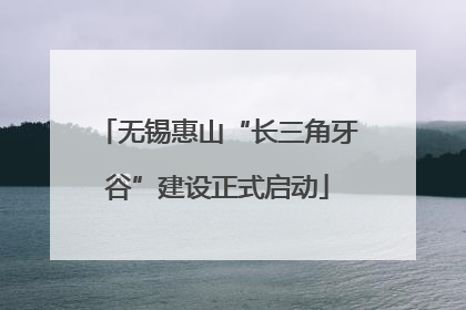 无锡惠山“长三角牙谷”建设正式启动