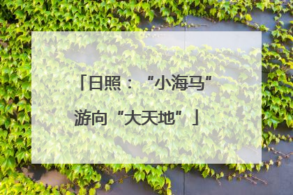 日照：“小海马”游向“大天地”
