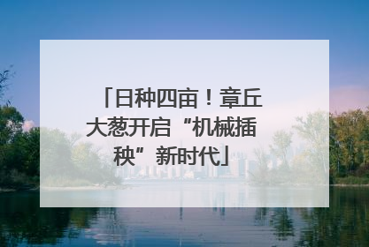 日种四亩！章丘大葱开启“机械插秧”新时代