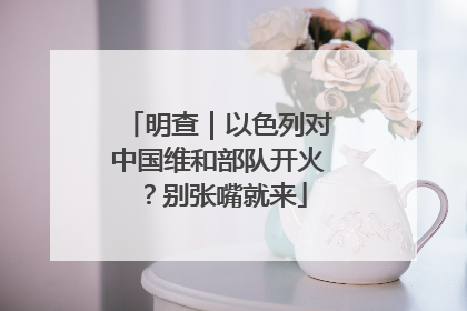 明查｜以色列对中国维和部队开火？别张嘴就来