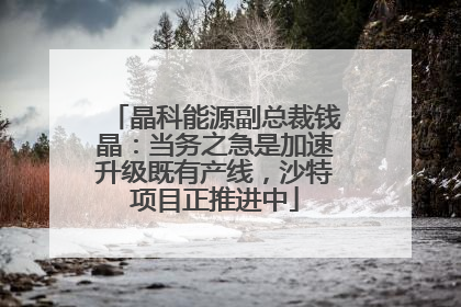 晶科能源副总裁钱晶：当务之急是加速升级既有产线，沙特项目正推进中