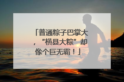 普通粽子巴掌大，“横县大粽”却像个巨无霸！