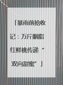 暴雨前抢收记：万斤胭脂红鲜桃传递“双向甜蜜”