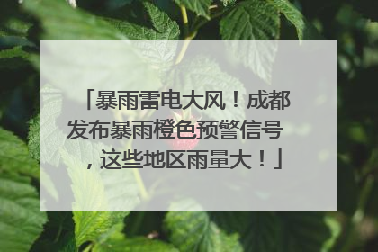 暴雨雷电大风！成都发布暴雨橙色预警信号，这些地区雨量大！