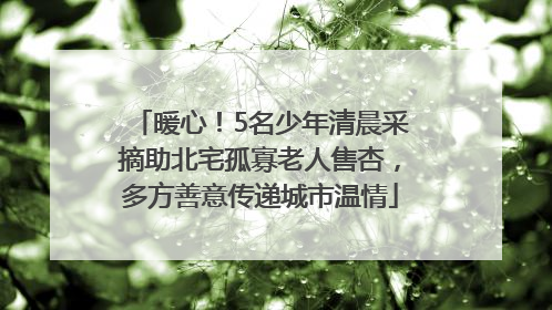 暖心！5名少年清晨采摘助北宅孤寡老人售杏，多方善意传递城市温情