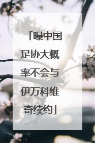 曝中国足协大概率不会与伊万科维奇续约