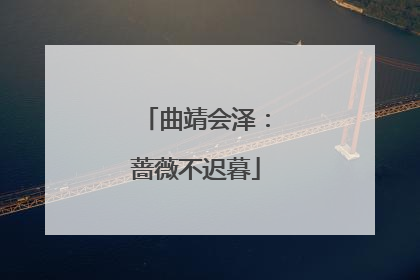 曲靖会泽：蔷薇不迟暮