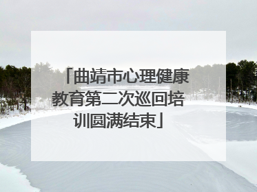 曲靖市心理健康教育第二次巡回培训圆满结束