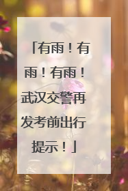 有雨！有雨！有雨！武汉交警再发考前出行提示！