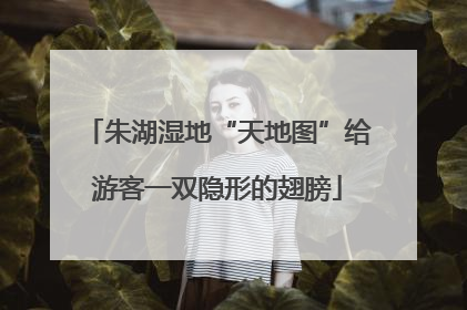 朱湖湿地“天地图”给游客一双隐形的翅膀