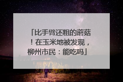 比手臂还粗的蘑菇！在玉米地被发现，柳州市民：能吃吗