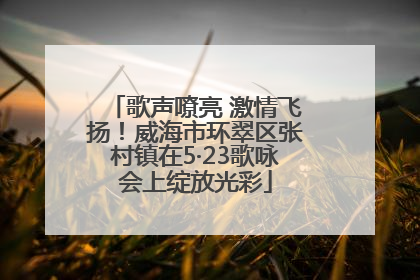 歌声嘹亮 激情飞扬！威海市环翠区张村镇在5·23歌咏会上绽放光彩