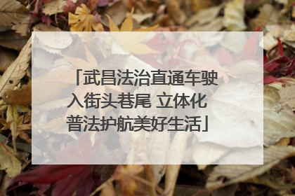 武昌法治直通车驶入街头巷尾 立体化普法护航美好生活