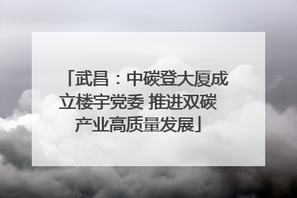 武昌：中碳登大厦成立楼宇党委 推进双碳产业高质量发展