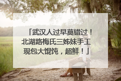 武汉人过早莫错过！北湖路梅氏三姊妹手工现包大馄饨，超鲜！