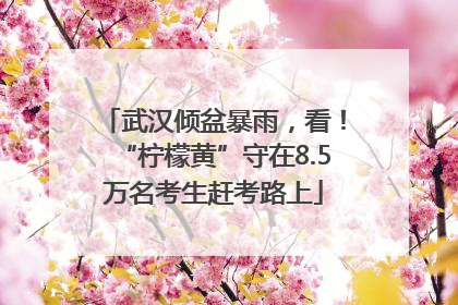 武汉倾盆暴雨，看！“柠檬黄”守在8.5万名考生赶考路上