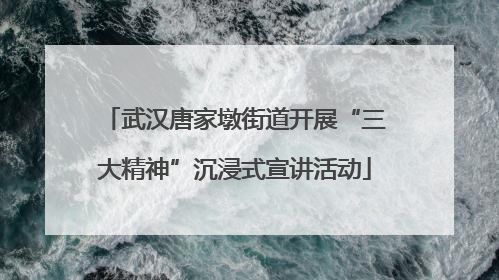 武汉唐家墩街道开展“三大精神”沉浸式宣讲活动