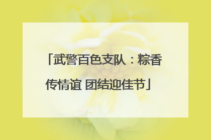 武警百色支队：粽香传情谊 团结迎佳节