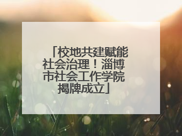 校地共建赋能社会治理！淄博市社会工作学院揭牌成立