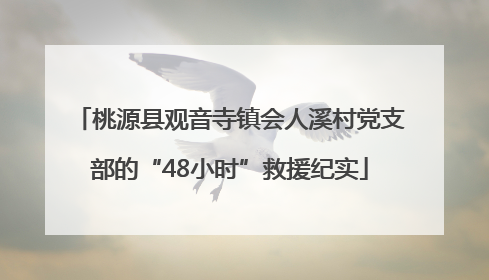 桃源县观音寺镇会人溪村党支部的“48小时”救援纪实