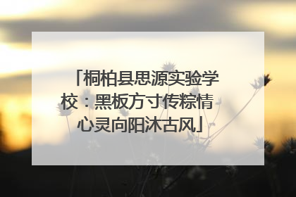 桐柏县思源实验学校：黑板方寸传粽情 心灵向阳沐古风