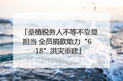 桑植税务人不等不靠显担当 全员捐款助力“6·18”洪灾重建