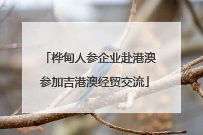 桦甸人参企业赴港澳参加吉港澳经贸交流
