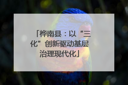 桦南县：以“三化”创新驱动基层治理现代化