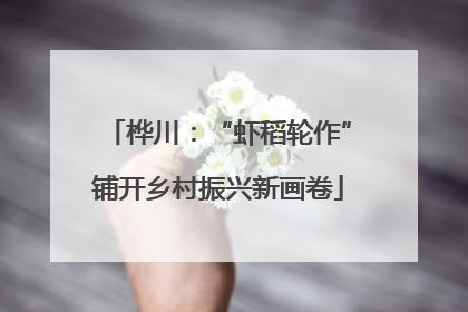 桦川：“虾稻轮作”铺开乡村振兴新画卷