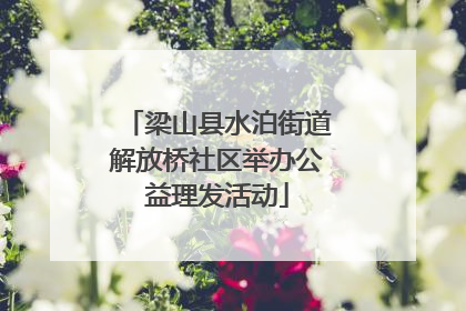 梁山县水泊街道解放桥社区举办公益理发活动