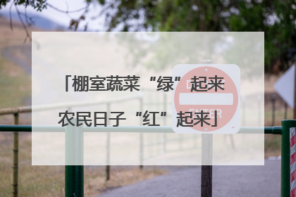 棚室蔬菜“绿”起来 农民日子“红”起来