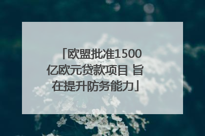 欧盟批准1500亿欧元贷款项目 旨在提升防务能力