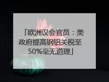 欧洲议会官员：美政府提高钢铝关税至50%毫无道理