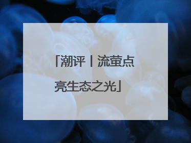 潮评丨流萤点亮生态之光