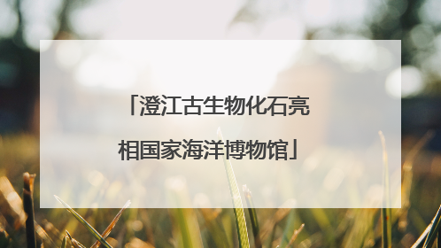 澄江古生物化石亮相国家海洋博物馆