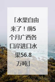 水果自由来了！前5个月广西各口岸进口水果56.8万吨