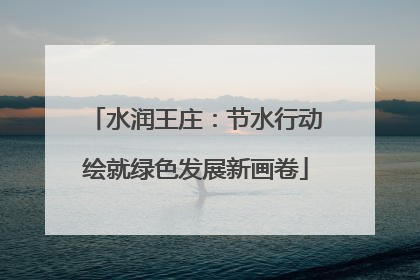 水润王庄：节水行动绘就绿色发展新画卷