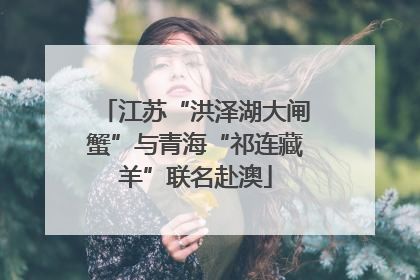 江苏“洪泽湖大闸蟹”与青海“祁连藏羊”联名赴澳