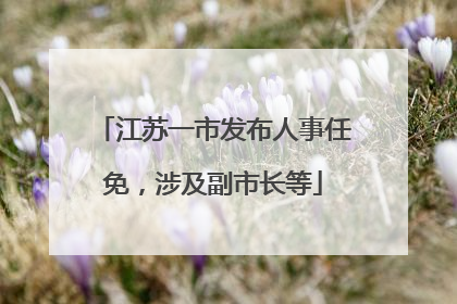 江苏一市发布人事任免，涉及副市长等