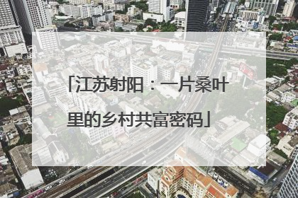 江苏射阳：一片桑叶里的乡村共富密码