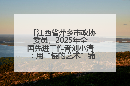 江西省萍乡市政协委员、2025年全国先进工作者刘小清：用“慢的艺术”铺就“爱的长征”