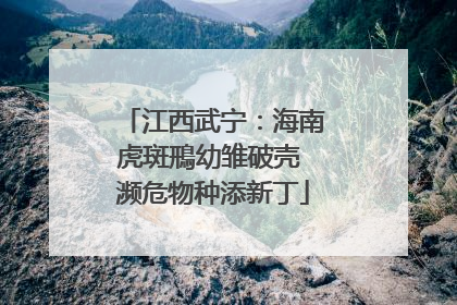 江西武宁：海南虎斑鳽幼雏破壳 濒危物种添新丁