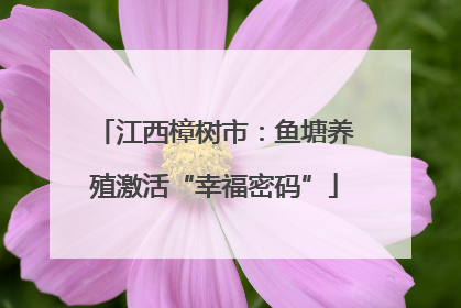 江西樟树市：鱼塘养殖激活“幸福密码”