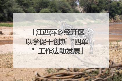江西萍乡经开区：以学促干创新“四单”工作法助发展
