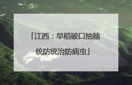 江西：早稻破口抽穗 统防统治防病虫