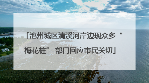 池州城区清溪河岸边现众多“梅花桩” 部门回应市民关切