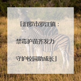 汨罗市罗江镇：禁毒护苗齐发力 守护校园助成长